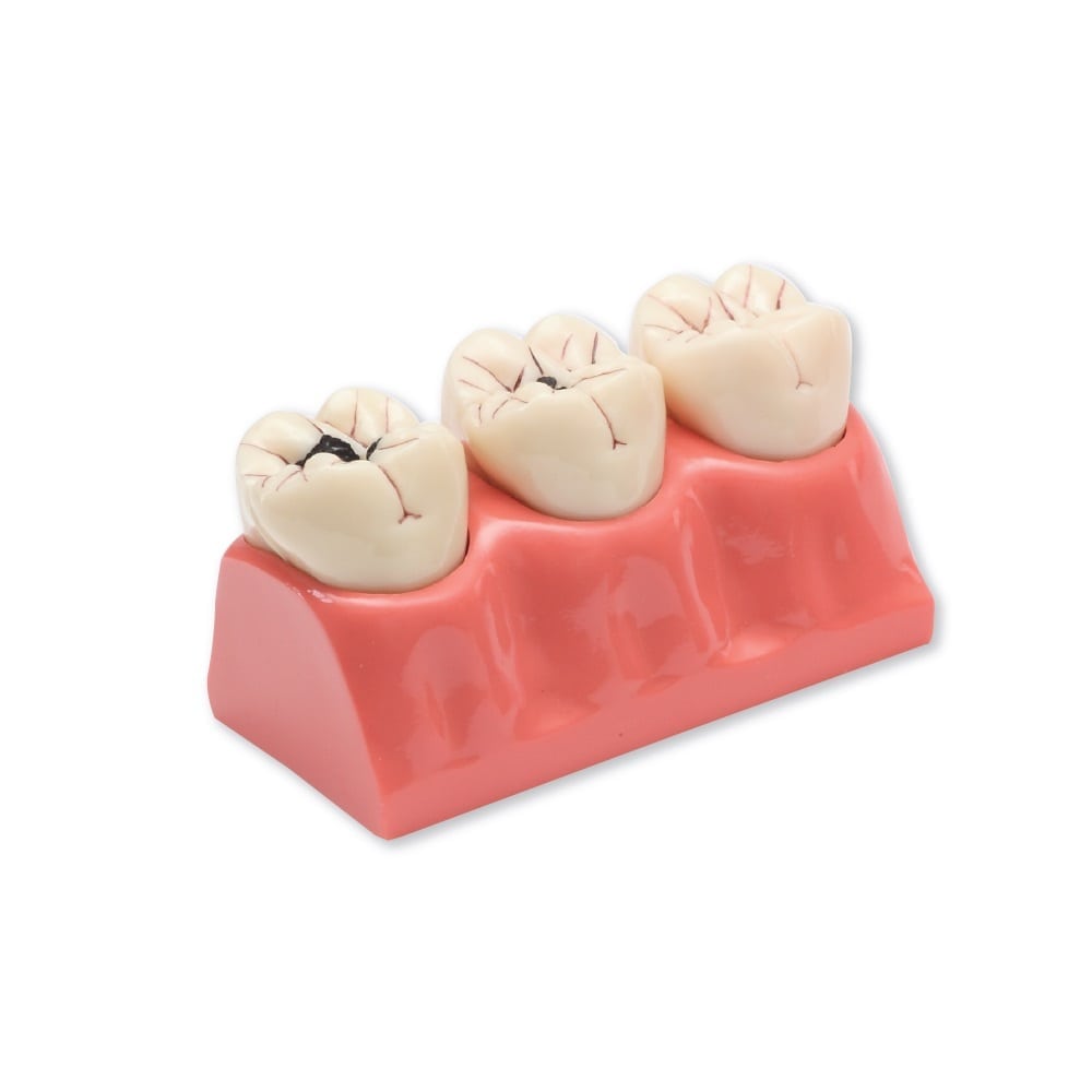 Buy Dental Disposables, Consumables & Equipment Premium Plus UK