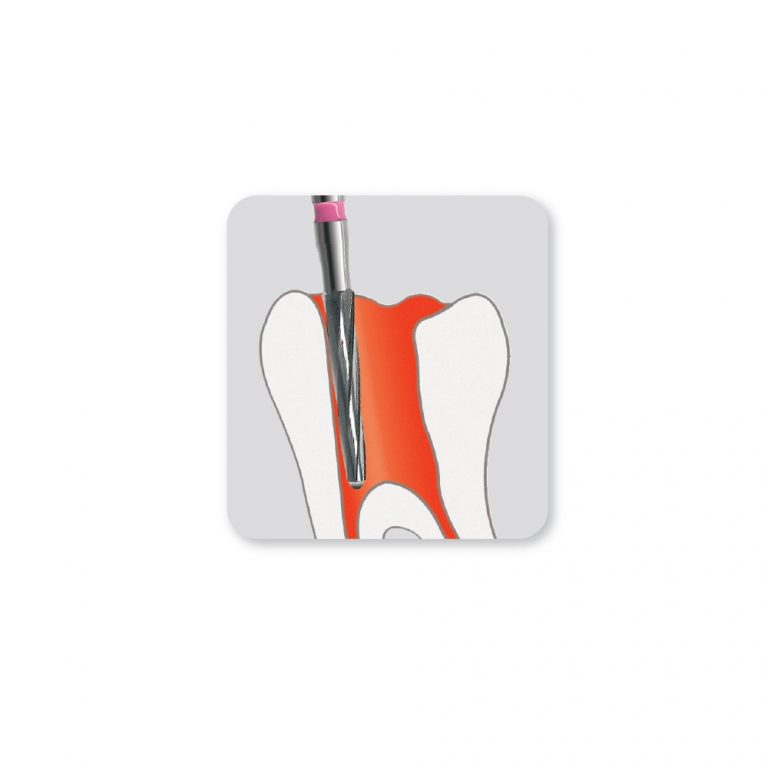 Edenta H152 Endo Carbide Burs FG/ FGL Premium Plus