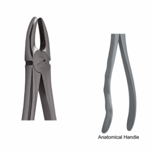 11001001 Forceps Fig. 1