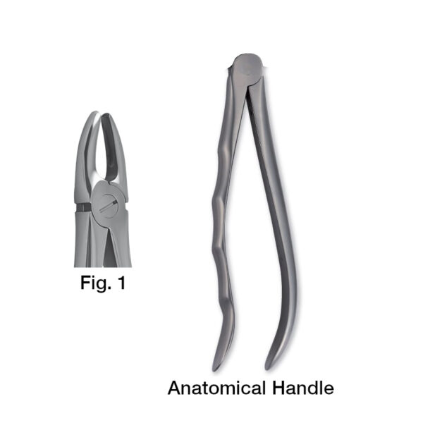 forceps_fig-1
