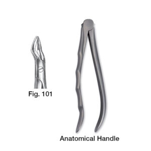 11101000 Forceps Fig. 101