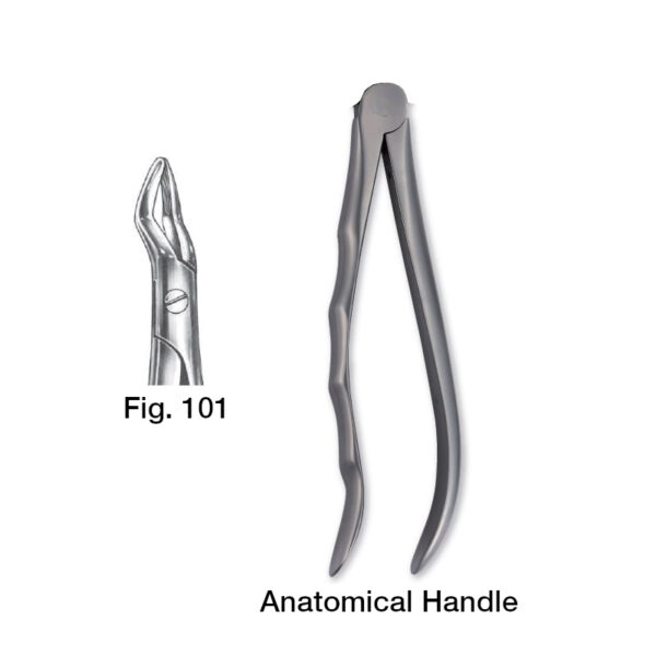 forceps_fig-101