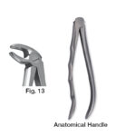 forceps_fig-13
