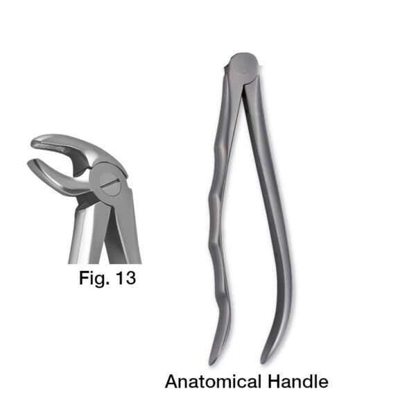 forceps_fig-13