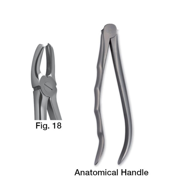 forceps_fig-18
