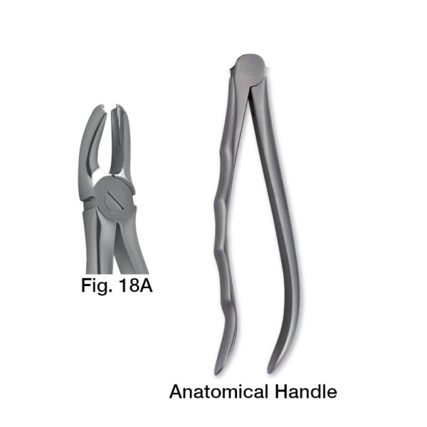 forceps_fig-18a
