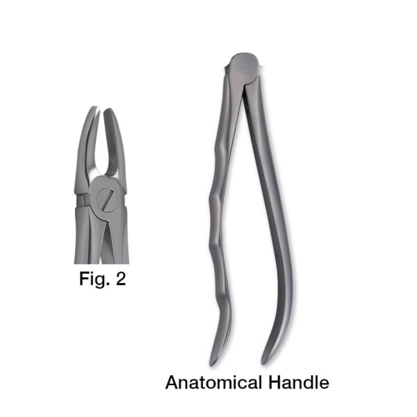 forceps_fig-2