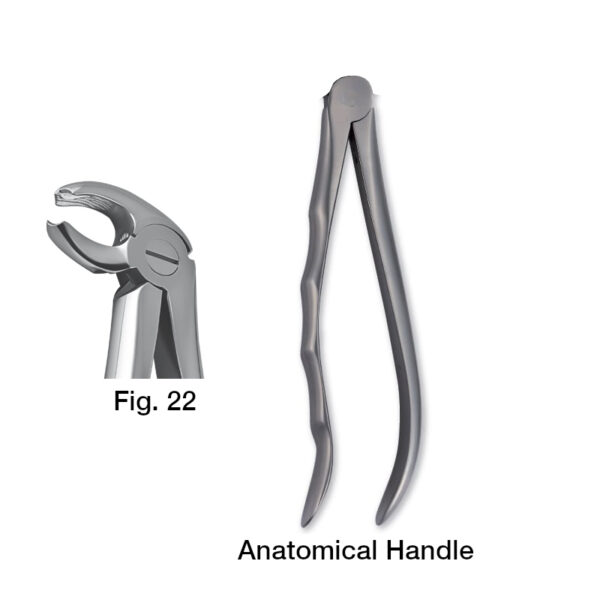 forceps_fig-22