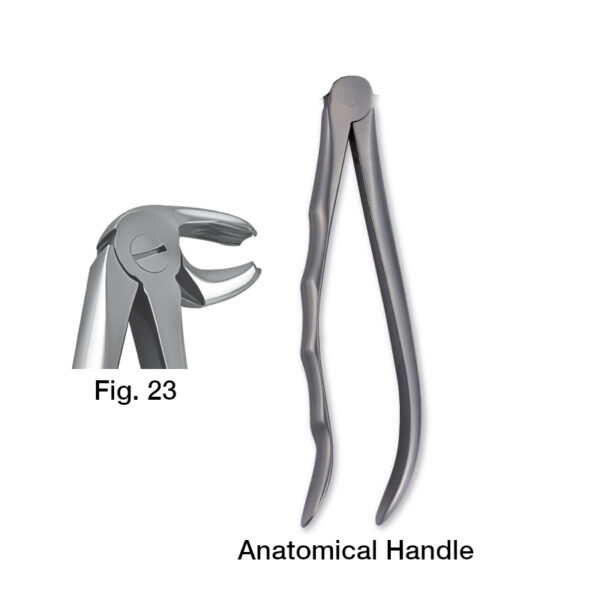 forceps_fig-23