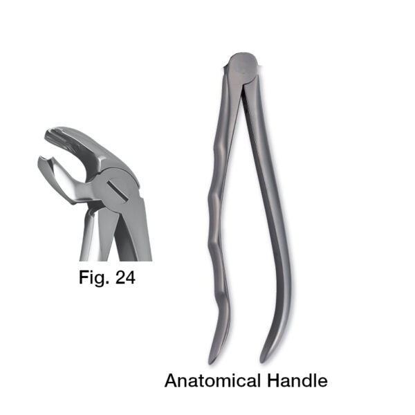 forceps_fig-24