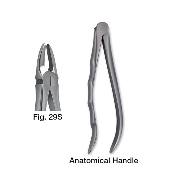 forceps_fig-29s