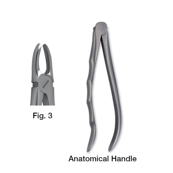 forceps_fig-3