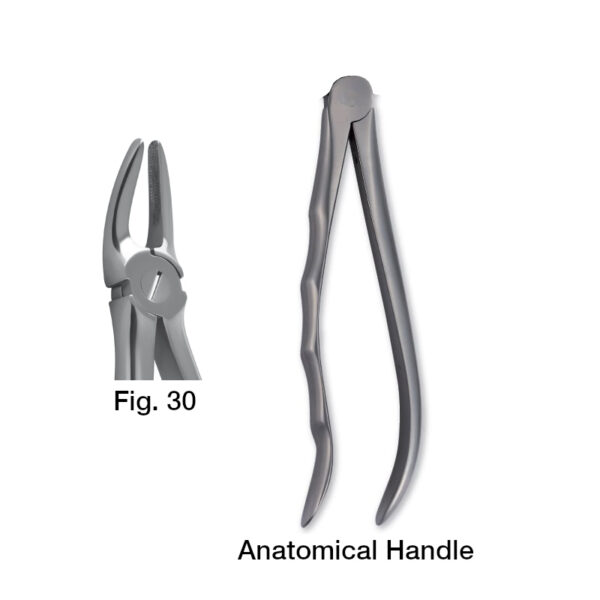 forceps_fig-30