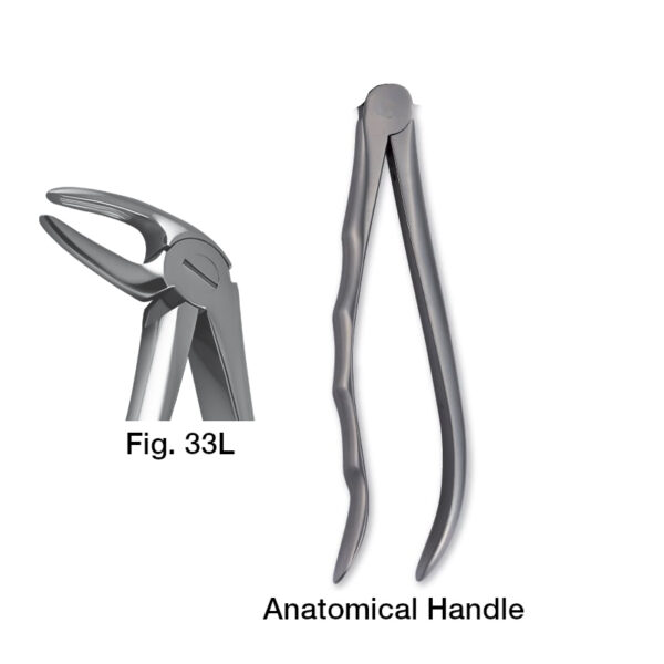 forceps_fig-33l
