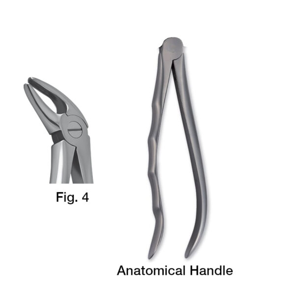 forceps_fig-4
