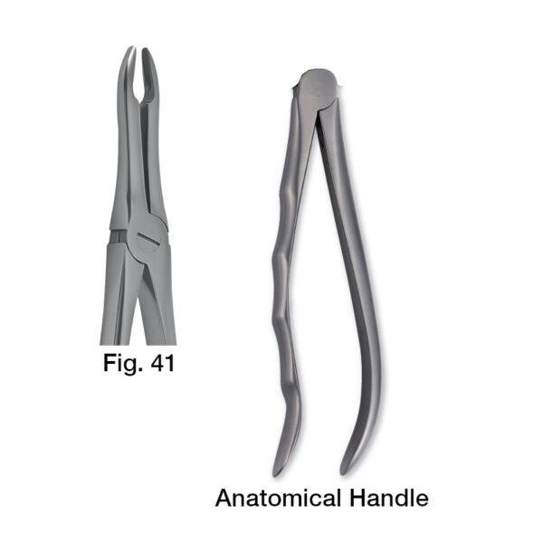 forceps_fig-41