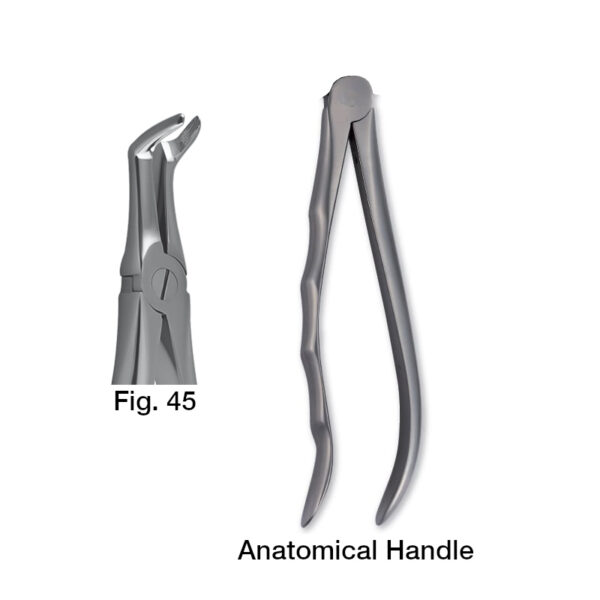 forceps_fig-45