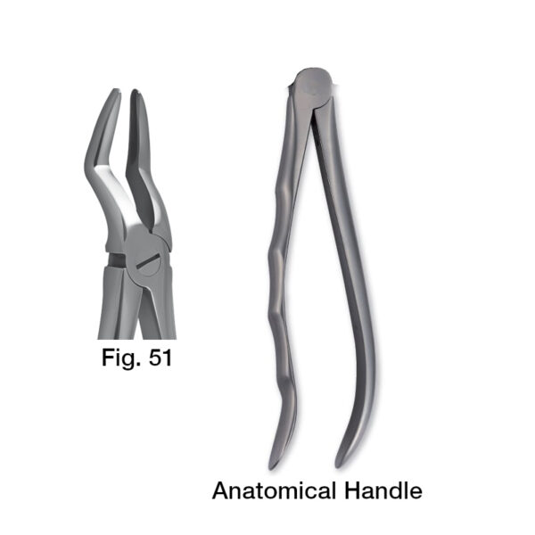 forceps_fig-51