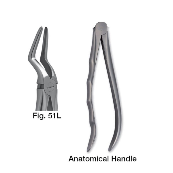 forceps_fig-51l