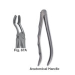 forceps_fig-67A