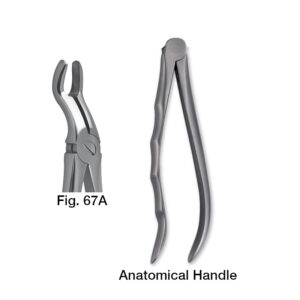 11067001 Forceps Fig. 67A