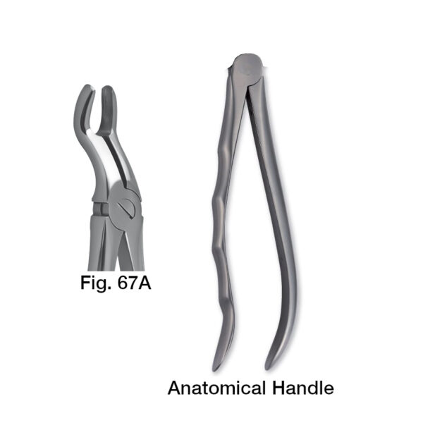 forceps_fig-67A