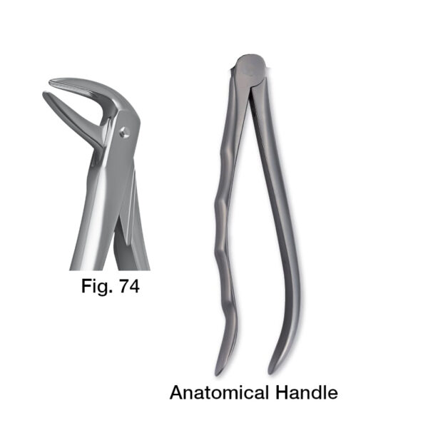 forceps_fig-74
