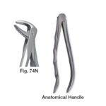 forceps_fig-74n