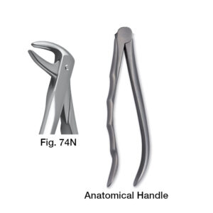 11074002 Forceps Fig. 74N