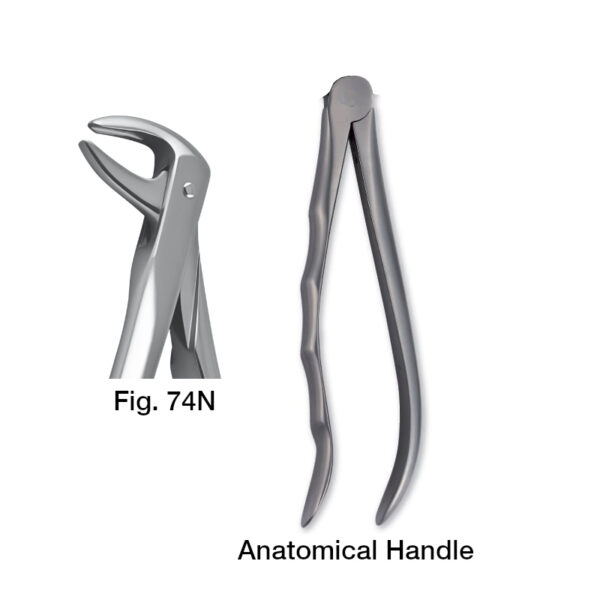 forceps_fig-74n