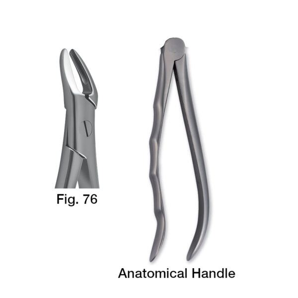 forceps_fig-76