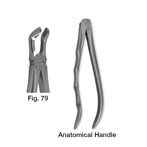forceps_fig-79