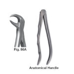 forceps_fig-86a