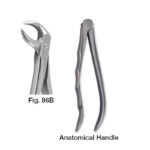 forceps_fig-86b