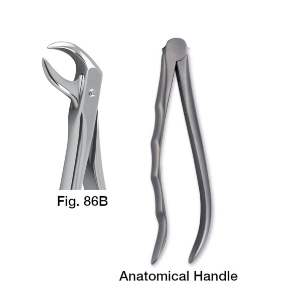 forceps_fig-86b