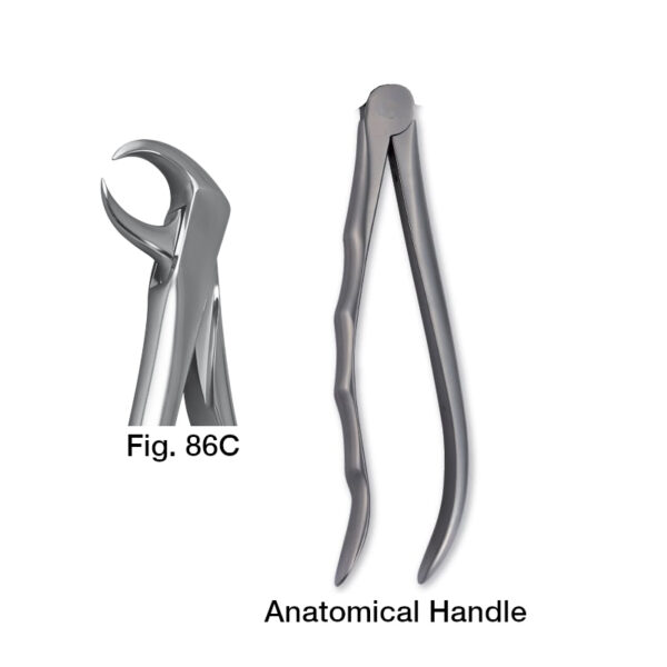 forceps_fig-86c