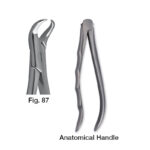 forceps_fig-87