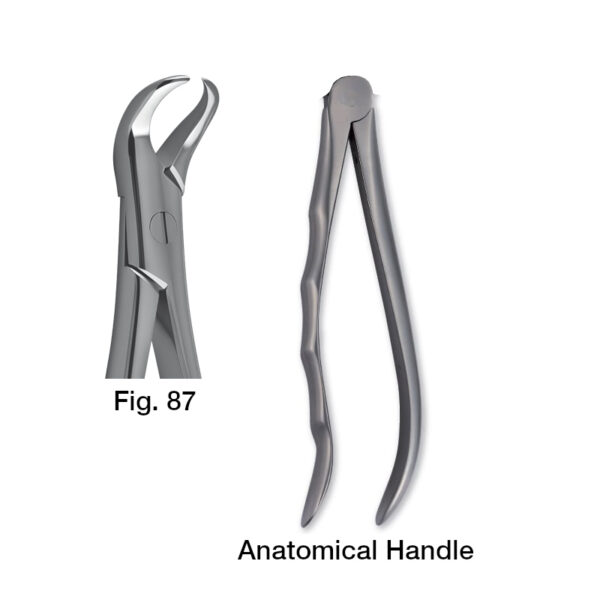 forceps_fig-87