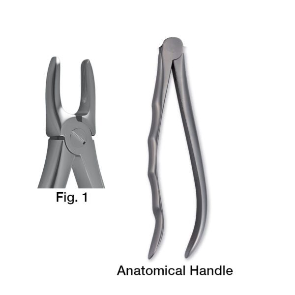 forceps_fig-p1