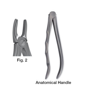 11181002 Paediatric Forceps Fig. 2