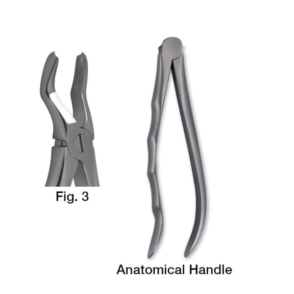 forceps_fig-p3