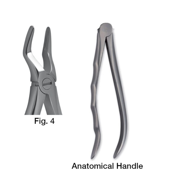 forceps_fig-p4
