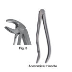 forceps_fig-p5