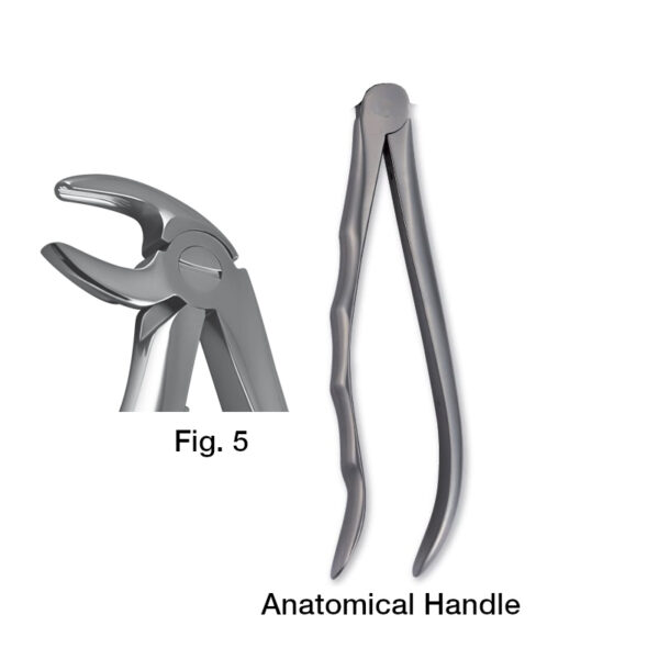 forceps_fig-p5