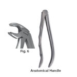 forceps_fig-p6