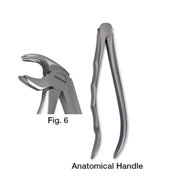 forceps_fig-p6