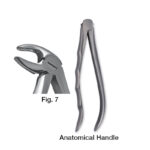 forceps_fig-p7