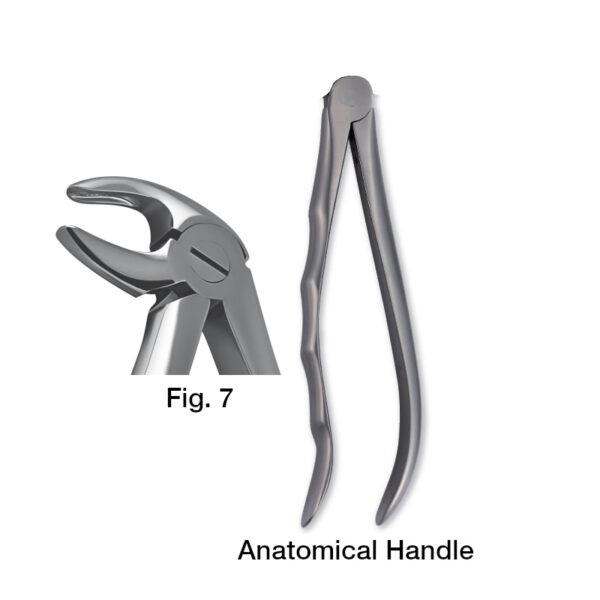 forceps_fig-p7