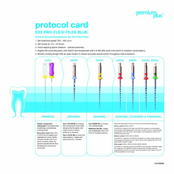 Endo Files Procedure Cards_e03_web