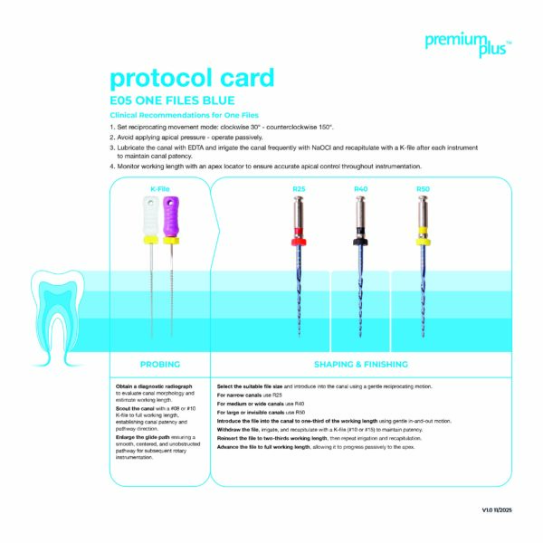 Endo Files Procedure Cards_e05_web